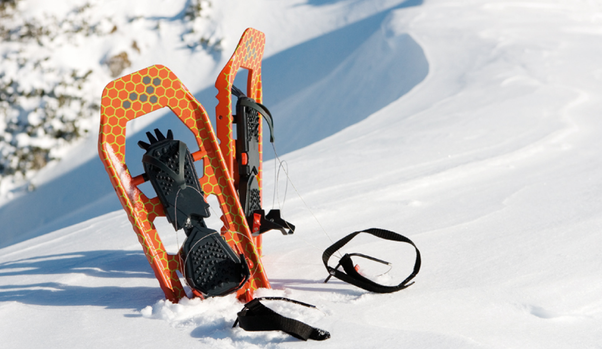 Polar 2.0 Marke Polar 2.0