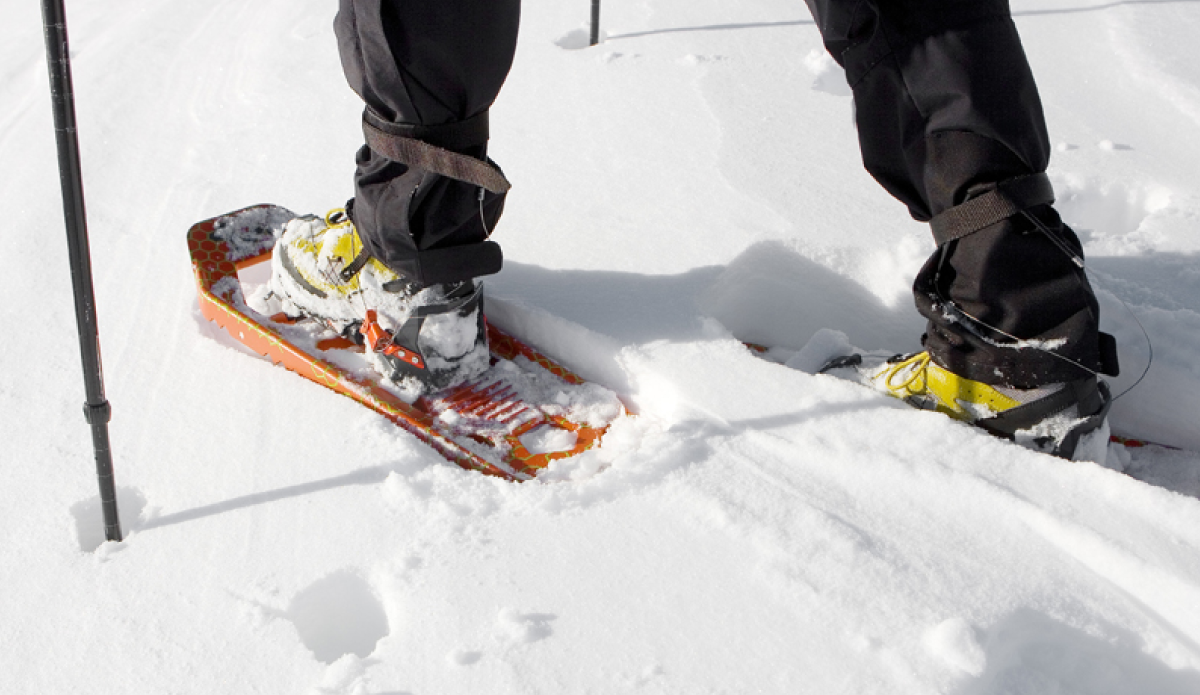 Polar 2.0 Marke Polar 2.0