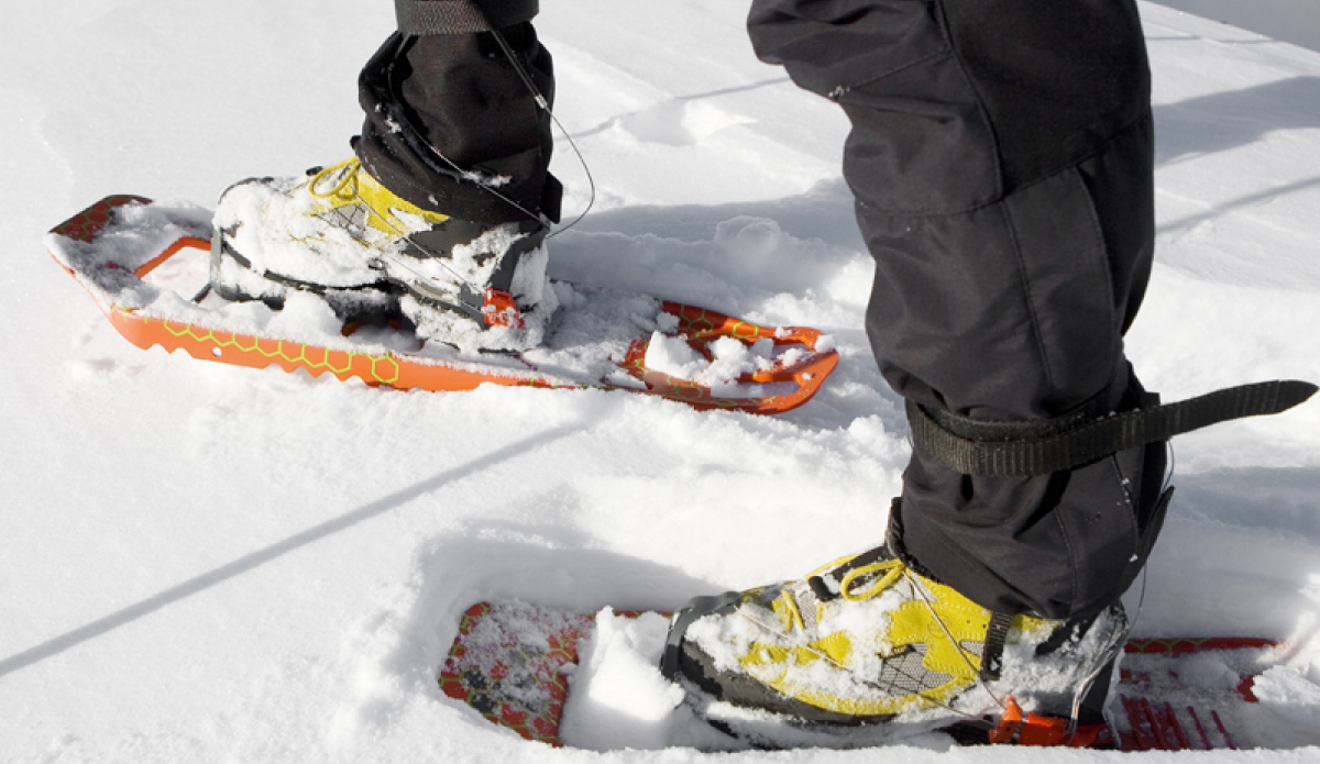 Polar 2.0 Marke Polar 2.0